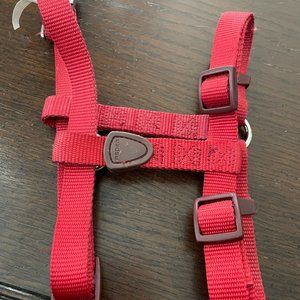 3/$15.00 AspenPet Dog Harness L